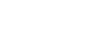  VSS logo 